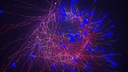 Background motion graphic design animated of Internet data communication rising (born) tree of digital network technology hi-tech  visualizations and informations infographic web charts data cloud.