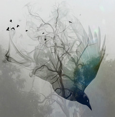 A truly ghostly bird 