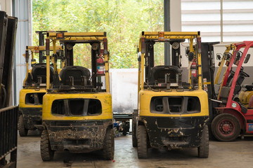 Forklifts in warehouse