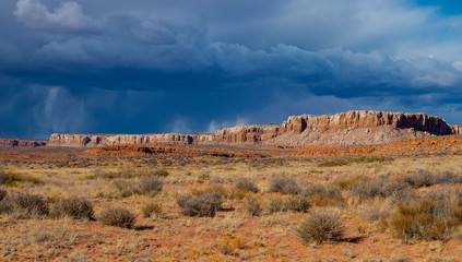 Fototapeta na wymiar Rainstorm In The Utah Desert 2