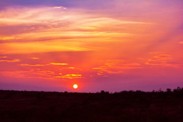 Beautiful Sunset In The Horizon