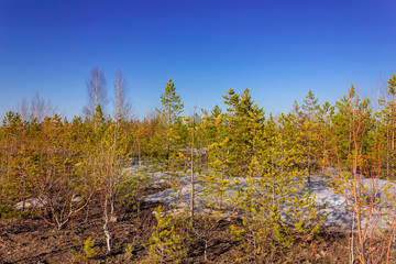 View of the quarry and the old mine from the observation platform