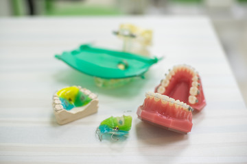 Orthodontic teeth models dental education model jaws with half ceramic and half metal bracket Teeth and Jaw Models.