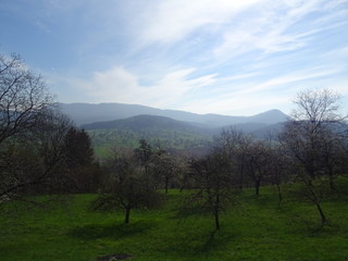 Schwaebische Alb - Berge, Natur, Baeume, Obstbaeume