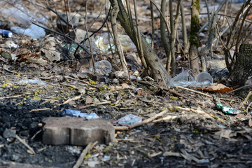 Naklejka na ściany i meble Garbage in the spring forest. The problem of ecology and pollution of nature
