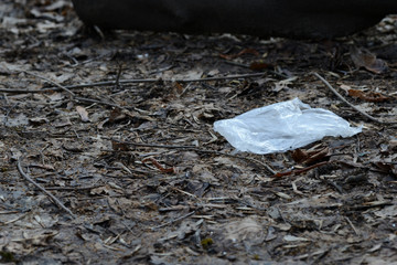 Garbage in the spring forest. The problem of ecology and pollution of nature