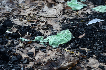 Garbage in the spring forest. The problem of ecology and pollution of nature