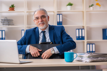 Aged male employee working in the office 