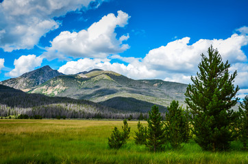 Mountain Meadow -Rocky Mountain National Park - Colorado