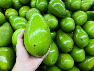 Person choosing a delicious, green and bright avocado papelillo from a stack of avocados in the supermarket. Avocados in perfect condition.