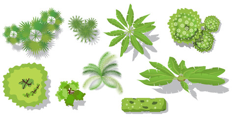 Trees top view for landscape vector isolated on white background illustration