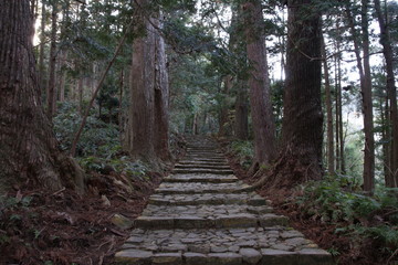 Obraz premium 熊野古道(中辺路) 大門坂
