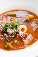 stewed squid seafood soup in spicy tomato and vegetable sauce
