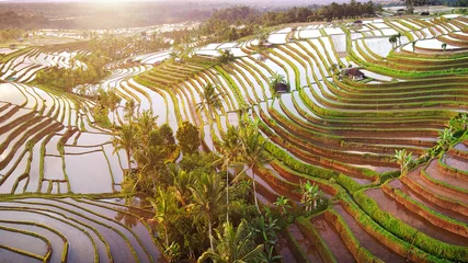 Foto op Plexiglas Luchtfoto van Bali rijstterrassen. De prachtige en dramatische rijstvelden van Jatiluwih in het zuidoosten van Bali zijn aangewezen als de prestigieuze UNESCO-werelderfgoedlocatie. © tanarch