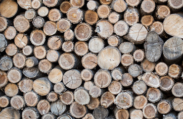 Stack of firewood