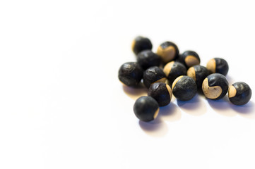 風船かずらの種