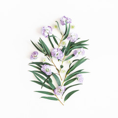 Flowers composition. Purple flowers and eucalyptus leaves on white background. Flat lay, top view