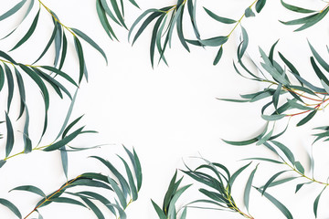 Obraz na płótnie Canvas Eucalyptus leaves on white background. Frame made of eucalyptus branches. Flat lay, top view