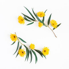 Flowers composition. Yellow flowers and eucalyptus leaves on white background. Spring, easter concept. Flat lay, top view, copy space, square