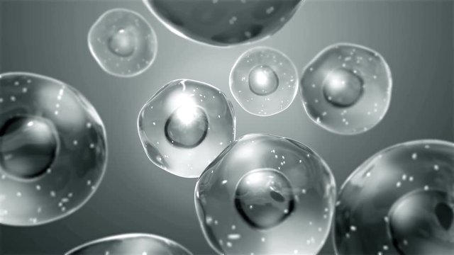healthy Cells with Mitochondria in motion 