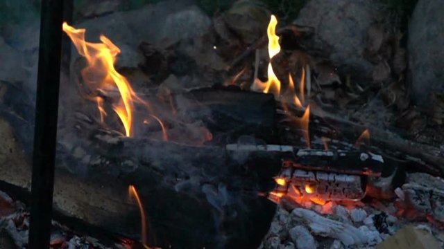 Campfire burning, super slow motion