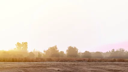 Foto op Plexiglas sunrise at the morning and dirt field © moxumbic
