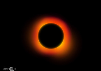 Black Hole Vector