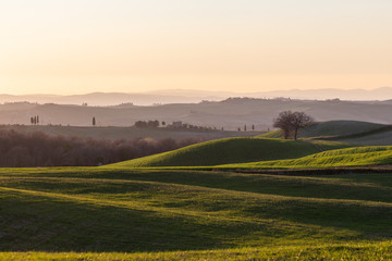 Beautiful view of Tuscany landscape hill at sunset, with mist and warm colors