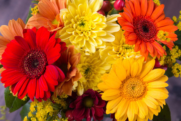 Bouquet of gerberas. Orange, red and yellow flowers