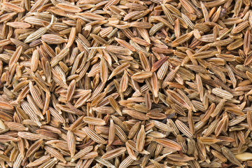 Zira spice dry seeds. Textured food background. Top view
