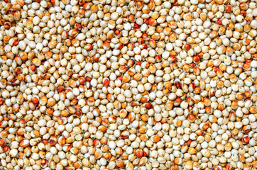 Background and texture of sugar sorghum. Side view. High-quality seeds of sugar sorghum in the form of texture. Can be used by seed producers to create seed packages in the background.