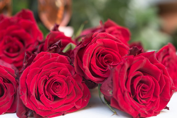 Obraz premium bouquet of roses