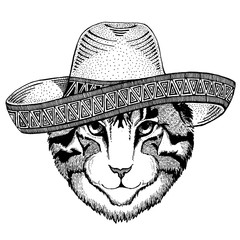 Cat wearing traditional mexican hat. Classic headdress, fiesta, party.