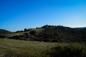 Naturaleza en su estado puro