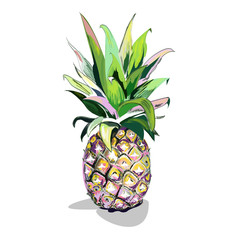 summer drawing, pineapple on a white background