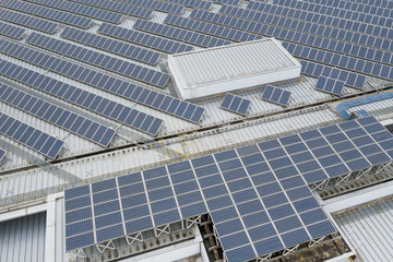 Obraz premium Aerial view of Solar panel