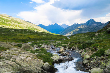Fototapeta na wymiar Mountain flowing stream picturesque view. Altai Mountains, Russia