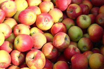 Loads of healthy red green apples for sale at a street market