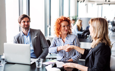 A group of young business people sitting in an office, shaking hands.