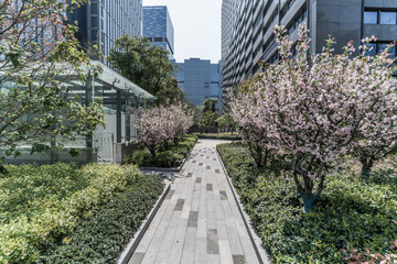 Modern internet technology office area