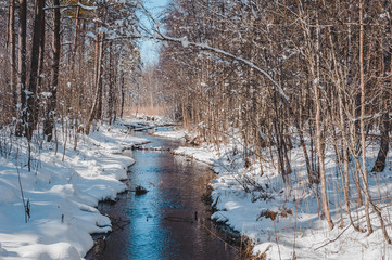 Early spring forest along the small river  look like an alley. The creek winds its way in the forest landscape. Snow-covered trees. Nature study trail in Paaskula (Pääsküla) bog. Estonia. Baltic.