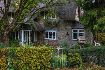 Beautiful old cottage with lush vegetation around