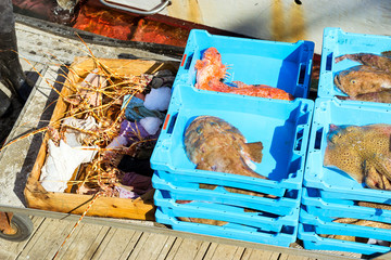Blue plastic containers with catch of sea lobster, Electric Stingray, redfish and Monkfish, ocean delicacies. Industrial catch of fresh fish. Fish auction. Blanes, Spain, Costa Brava. Fishing in port