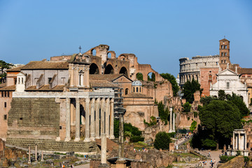 Fototapeta na wymiar A view of Roman Forum in Rome at sunny summer day