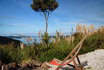Fototapeta na wymiar An empty deck chair looking over an ocean bay through the fluffy reeds on a sunny day