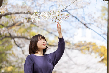 桜を鑑賞する女性