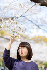 桜を鑑賞する女性