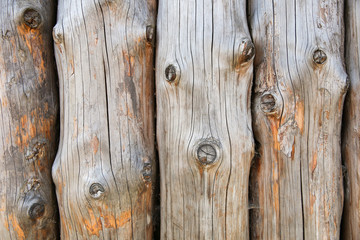 background of hewn logs. texture of the old logs with cracks and knots 