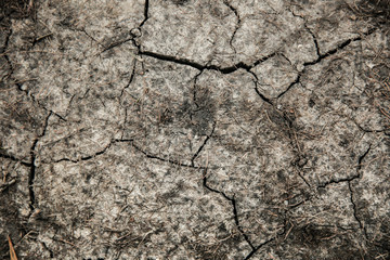 cracked ground texture. background of dry ground with cracks 