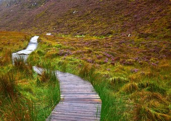 A pathway through the Connemara National Park in Ireland.